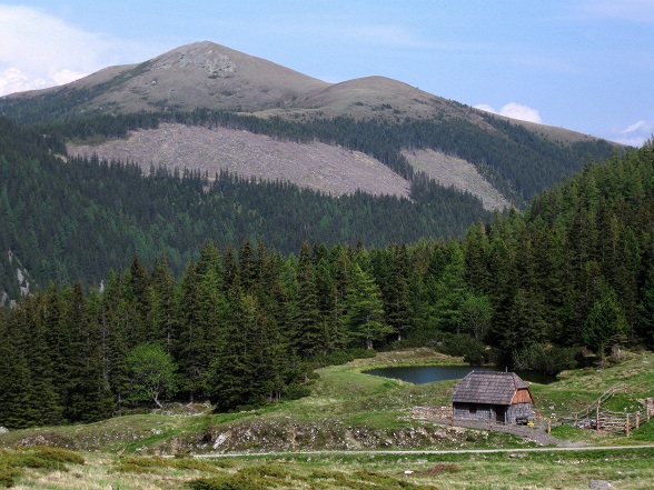Foto: Andreas Koller / Wandertour / Zum Gipfelsammeln in den Seckauer Tauern (2397m) / Obere Bodenalm / 25.06.2012 18:47:29