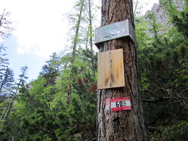 Foto: Andreas Koller / Klettersteigtour / Klettersteig Walter Mory und Krischasteig (1711m) / Abzweigung vom Krischasteig / 15.07.2012 23:28:59