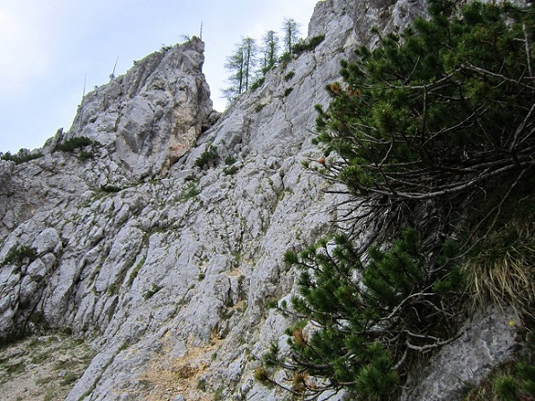 Foto: Andreas Koller / Klettersteigtour / Klettersteig Walter Mory und Krischasteig (1711m) / 15.07.2012 23:27:00