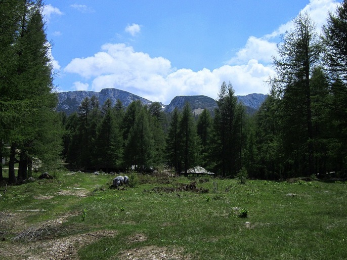 Foto: Andreas Koller / Klettersteigtour / Klettersteig Walter Mory und Krischasteig (1711m) / 15.07.2012 23:23:37