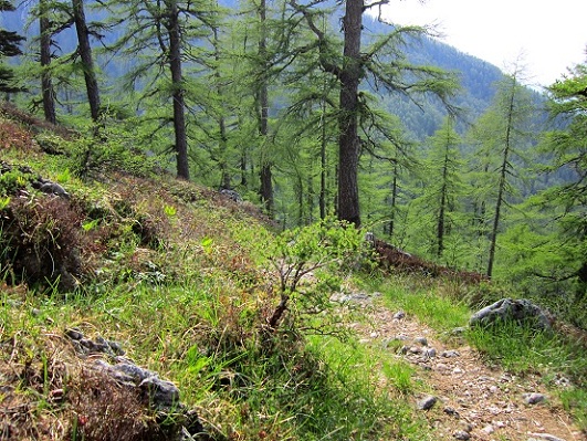 Foto: Andreas Koller / Klettersteigtour / Klettersteig Walter Mory und Krischasteig (1711m) / Abstieg am Krischasteig / 15.07.2012 23:22:19