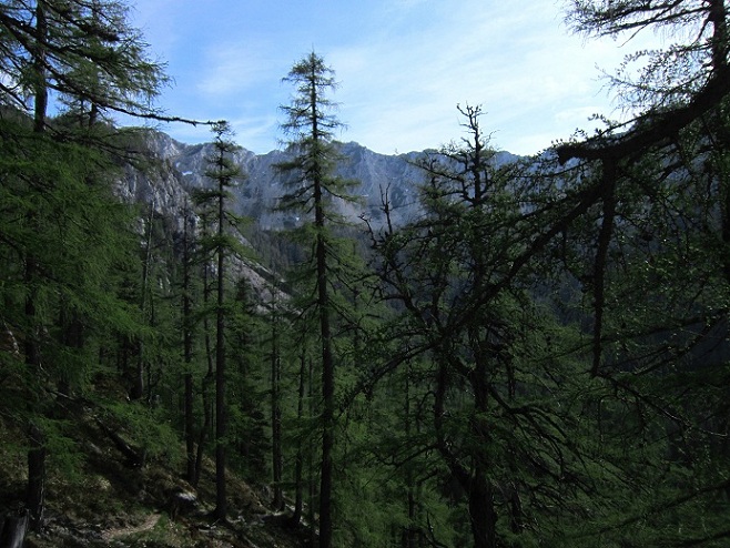 Foto: Andreas Koller / Klettersteigtour / Klettersteig Walter Mory und Krischasteig (1711m) / 15.07.2012 23:21:49