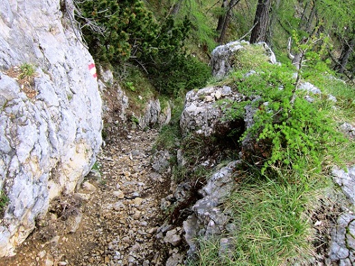 Foto: Andreas Koller / Klettersteigtour / Klettersteig Walter Mory und Krischasteig (1711m) / Krischasteig / 15.07.2012 23:21:30