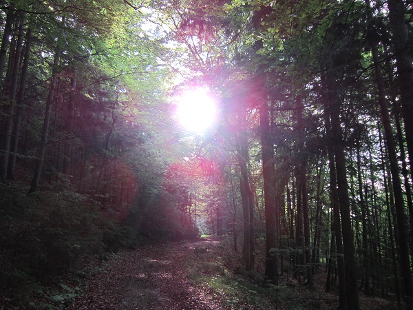 Foto: Andreas Koller / Klettersteigtour / Klettersteig Walter Mory und Krischasteig (1711m) / 15.07.2012 23:20:30
