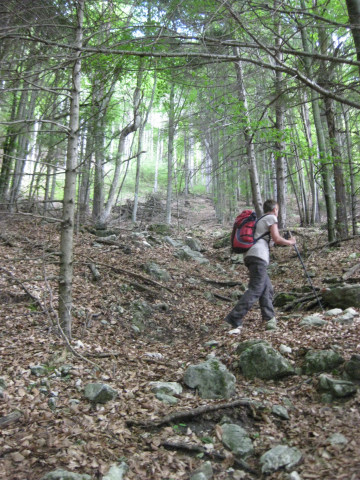 Foto: Wolfgang Lauschensky / Klettersteigtour / Via Ferrata Sass Brusai auf den Monte Boccaor 1532m / Zustieg im Wald / 13.07.2012 08:03:26