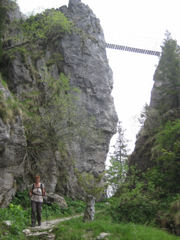 Foto: Wolfgang Lauschensky / Klettersteigtour / Via Ferrata Sass Brusai auf den Monte Boccaor 1532m / alter Militärweg unter der Klettersteigbrücke / 13.07.2012 07:57:45