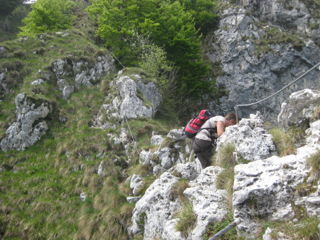 Foto: Wolfgang Lauschensky / Klettersteigtour / Via Ferrata Carlo Guzzella auf den Monte Grappa 1742m / auslaufender Klettersteig / 13.07.2012 19:27:08