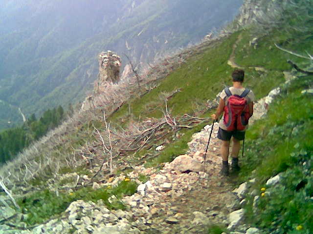 Foto: Wolfgang Lauschensky / Wandertour / Monte Vigolana 2148m und Becco di Filadonna 2150m / Ostabstieg zum Rifugio Caserota durch Waldbrandgebiet / 18.07.2012 19:30:44