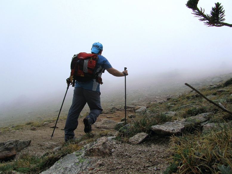 Foto: Andreas Koller / Wandertour / Mount Shavano (4337m) / Baumgrenze / 18.07.2012 23:21:06