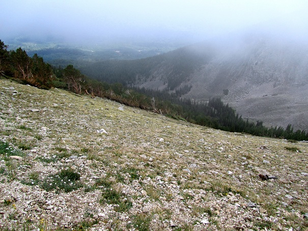 Foto: Andreas Koller / Wandertour / Mount Shavano (4337m) / 18.07.2012 23:20:47