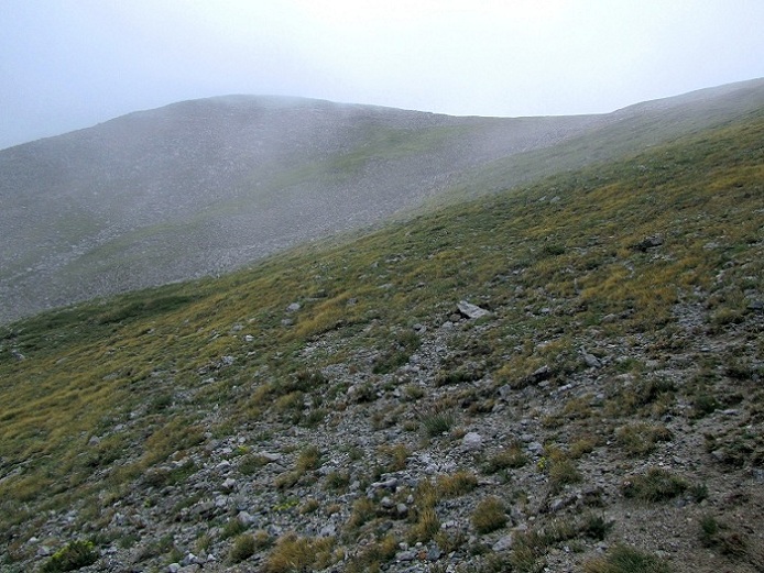 Foto: Andreas Koller / Wandertour / Mount Shavano (4337m) / 18.07.2012 23:20:22