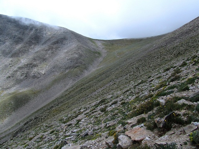 Foto: Andreas Koller / Wandertour / Mount Shavano (4337m) / 18.07.2012 23:15:37