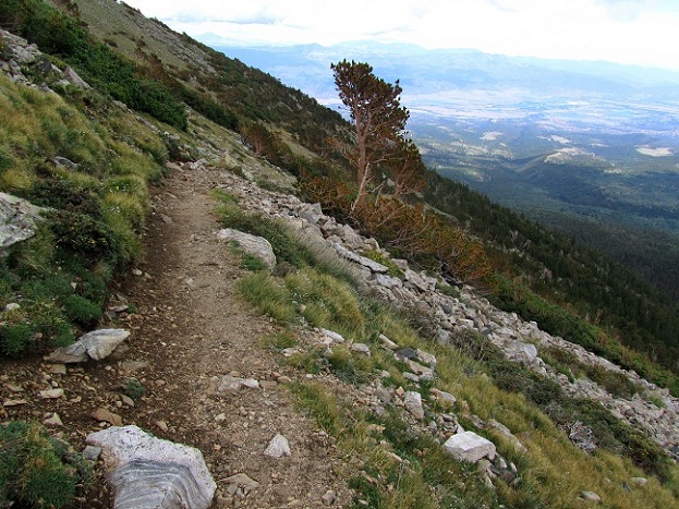 Foto: Andreas Koller / Wandertour / Mount Shavano (4337m) / 18.07.2012 23:14:38