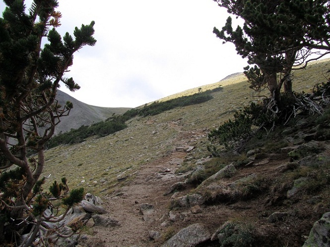 Foto: Andreas Koller / Wandertour / Mount Shavano (4337m) / 18.07.2012 23:14:23