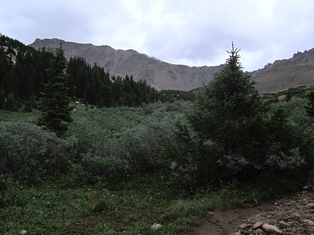 Foto: Andreas Koller / Wandertour / Mount Harvard (4395m) / 30.07.2012 22:51:02