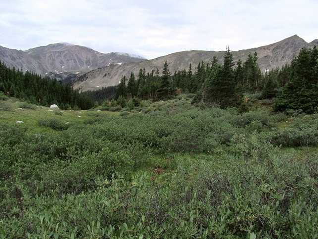 Foto: Andreas Koller / Wandertour / Mount Harvard (4395m) / 30.07.2012 22:50:52