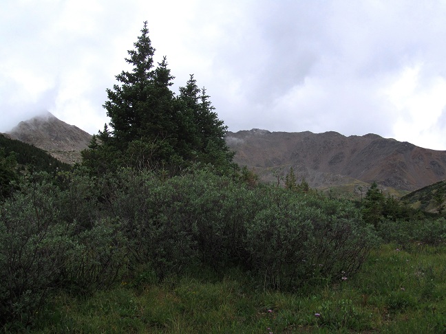 Foto: Andreas Koller / Wandertour / Mount Harvard (4395m) / 30.07.2012 22:50:43