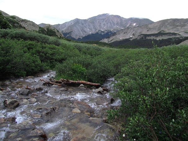 Foto: Andreas Koller / Wandertour / Mount Harvard (4395m) / 30.07.2012 22:50:16