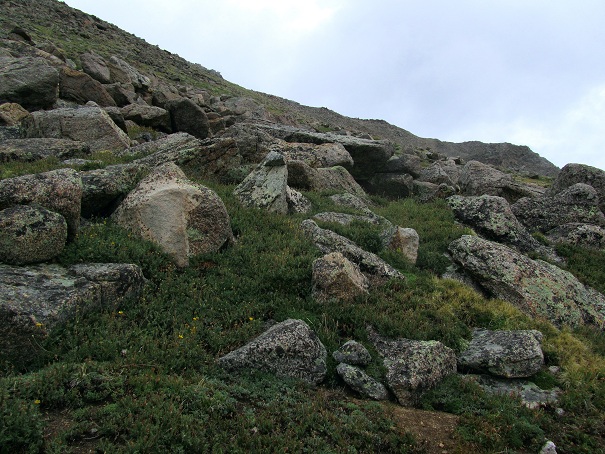 Foto: Andreas Koller / Wandertour / Mount Harvard (4395m) / 30.07.2012 22:46:16