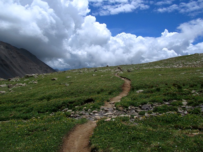 Foto: Andreas Koller / Wandertour / Mount Harvard (4395m) / 30.07.2012 22:28:03