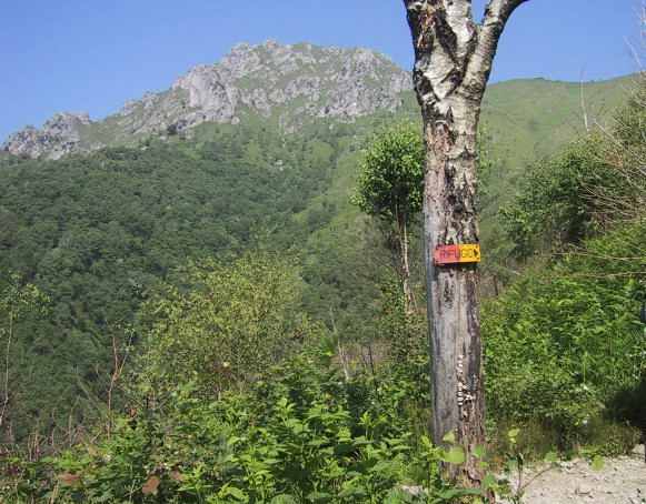 Foto: Wolfgang Lauschensky / Klettersteigtour / Monte Grona über Ferrata Centenario C.A.O. 1736m / Monte Grona oberhalb von Breglia / 02.08.2012 18:00:58