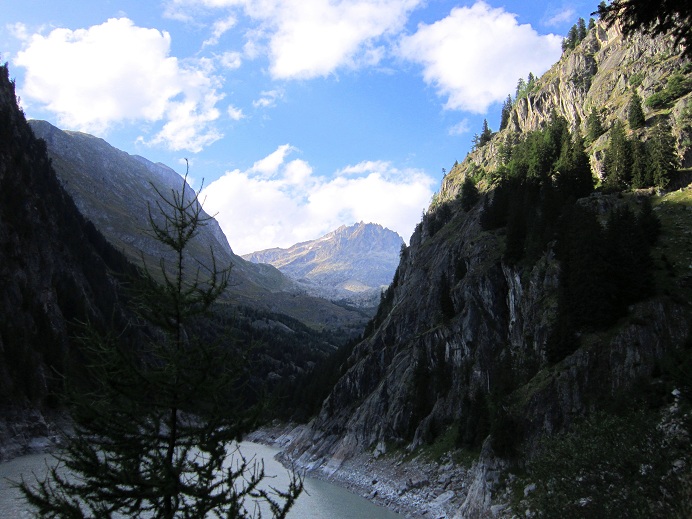 Foto: Andreas Koller / Klettersteigtour / Klettersteig Aletsch (1550m) / 02.09.2012 02:19:28