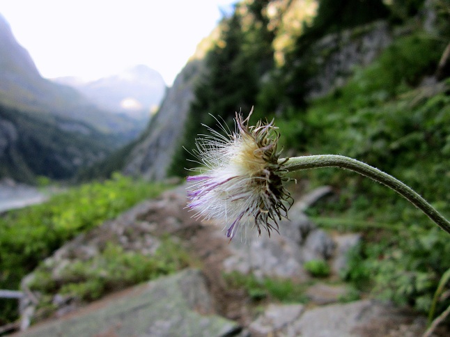 Foto: Andreas Koller / Klettersteigtour / Klettersteig Aletsch (1550m) / 02.09.2012 02:19:18