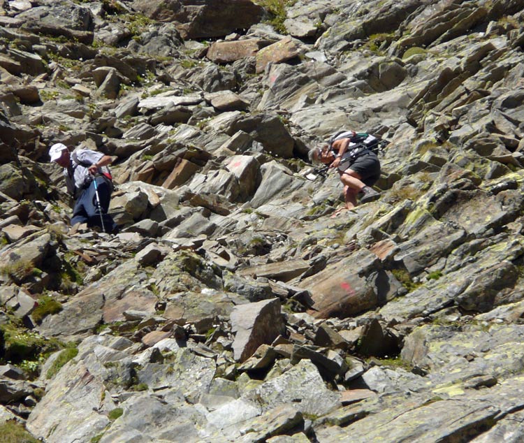 Foto: vince 51 / Wandertour / von Westen auf den Scheibler / Anstieg zum Gipfel / 02.09.2012 20:33:06