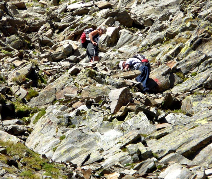 Foto: vince 51 / Wandertour / von Westen auf den Scheibler / Anstieg zum Gipfel / 02.09.2012 20:32:53