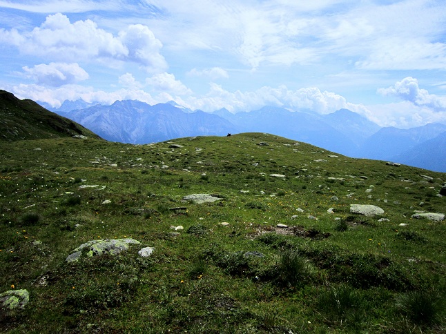 Foto: Andreas Koller / Wandertour / Sparrhorn - kleiner 3000er mit großer Aussicht (3021m) / 08.09.2012 20:11:06