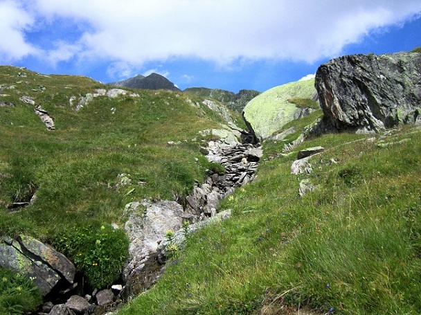 Foto: Andreas Koller / Wandertour / Sparrhorn - kleiner 3000er mit großer Aussicht (3021m) / 08.09.2012 20:09:25