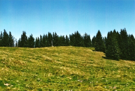 Foto: Wolfgang Dröthandl / Wandertour / Floning von Kapfenberg / Floning - Gipfelwiese mit Kreuz / 11.10.2012 12:22:25