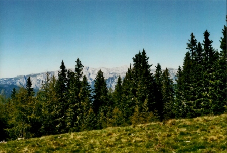 Foto: Wolfgang Dröthandl / Wandertour / Floning von Kapfenberg / Blick zum Hochschwab (nördlich) von einer Wiese wenige Meter unterhalb des Gipfelkreuzes links / 11.10.2012 12:23:30