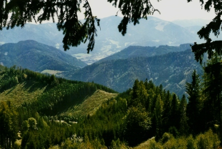 Foto: Wolfgang Dröthandl / Wandertour / Floning von Kapfenberg / Die Aufstiegsroute verläuft von der Ortneralm über den Kamm im Vordergrund (von links kommend); links vorne oberster Rettenbachgraben / 11.10.2012 12:27:53