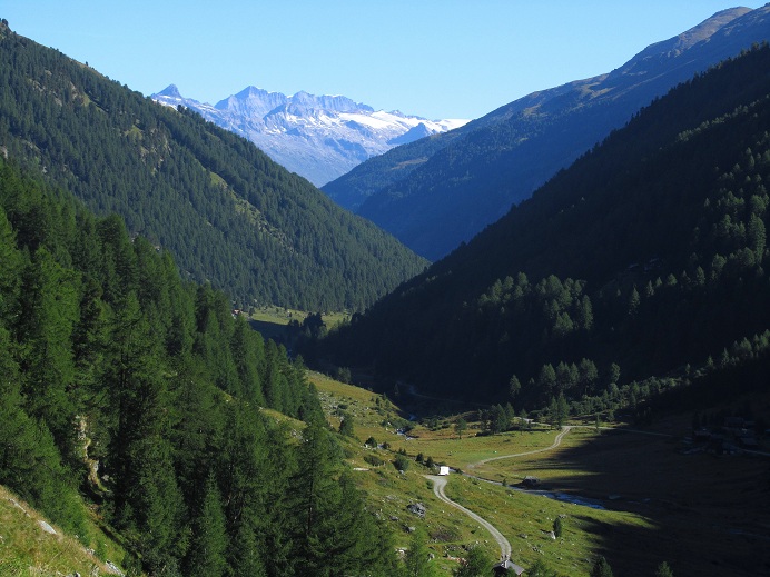 Foto: Andreas Koller / Wandertour / Aus dem Turtmanntal auf die Barrhörner (3610m) / 13.09.2012 01:49:40