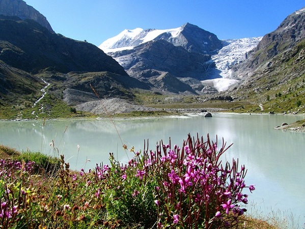 Foto: Andreas Koller / Wandertour / Aus dem Turtmanntal auf die Barrhörner (3610m) / 13.09.2012 01:48:19