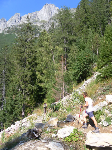 Foto: Wolfgang Lauschensky / Wandertour / Le Brevent 2525m / Waldpfad zum Brevent / 26.09.2012 17:33:47