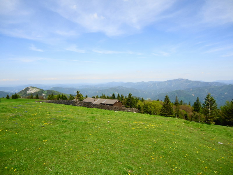 Foto: Günter Siegl / Wandertour / Hochstaff und Reisalpe (1399m) / rechts der Unterberg / 29.05.2014 09:11:28