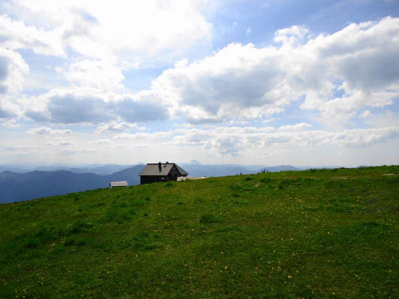 Foto: Günter Siegl / Wandertour / Hochstaff und Reisalpe (1399m) / Reisalpen Schutzhaus / 29.05.2014 09:11:46