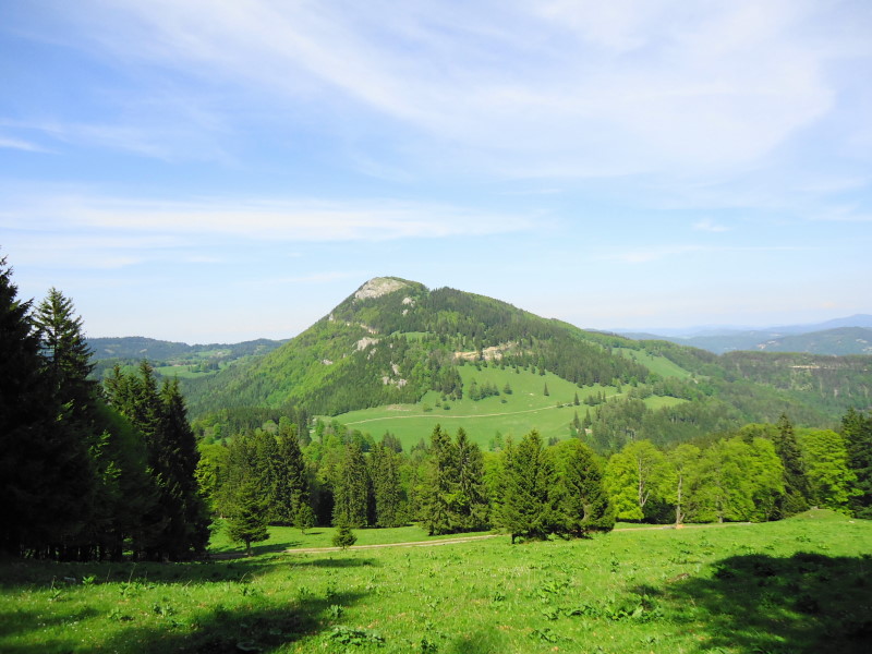 Foto: Günter Siegl / Wandertour / Hochstaff und Reisalpe (1399m) / Hochstaff / 29.05.2014 09:11:04