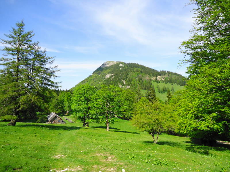 Foto: Günter Siegl / Wandertour / Hochstaff und Reisalpe (1399m) / Hochstaff / 29.05.2014 09:10:54