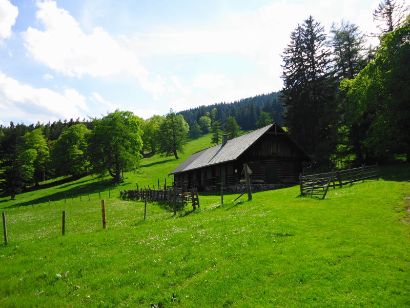 Foto: Günter Siegl / Wandertour / Hochstaff und Reisalpe (1399m) / Kleinzeller HInteralm / 29.05.2014 09:10:23