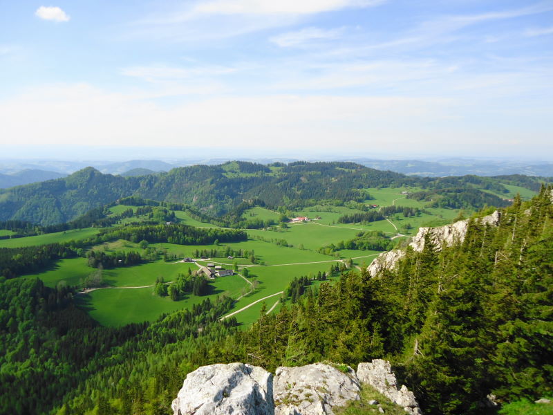 Foto: Günter Siegl / Wandertour / Hochstaff und Reisalpe (1399m) / Blick vom Hochstaff Richtung Norden zur Ebenwaldhöhe / 29.05.2014 09:09:34