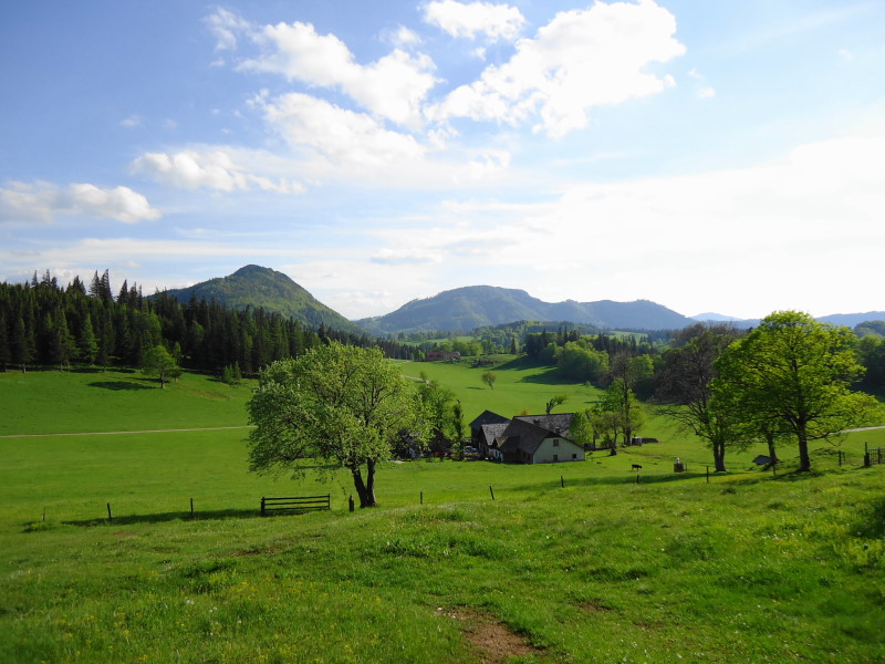 Foto: Günter Siegl / Wandertour / Hochstaff und Reisalpe (1399m) / Hochstaff und Reisalpe / 29.05.2014 09:08:56