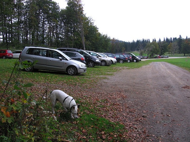 Foto: Andreas Koller / Wandertour / Hochstaff und Reisalpe (1399m) / Ausgangspunkt Ebenwaldhöhe / 10.10.2012 23:32:25