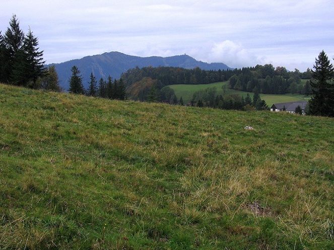 Foto: Andreas Koller / Wandertour / Hochstaff und Reisalpe (1399m) / 10.10.2012 23:31:18