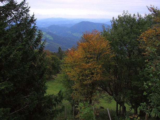 Foto: Andreas Koller / Wandertour / Hochstaff und Reisalpe (1399m) / 10.10.2012 23:30:30