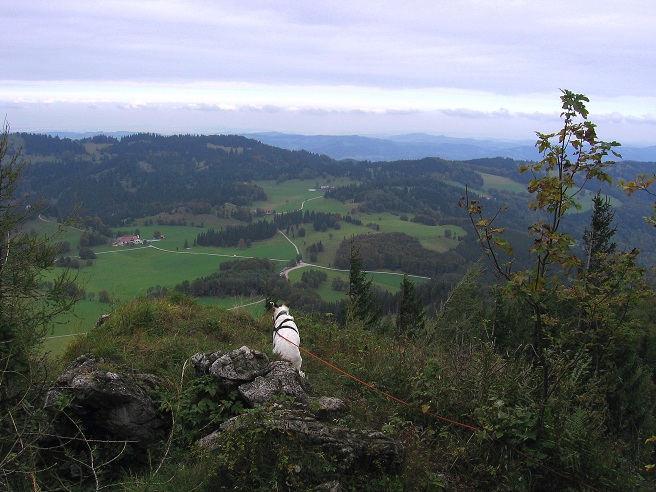Foto: Andreas Koller / Wandertour / Hochstaff und Reisalpe (1399m) / 10.10.2012 23:30:08