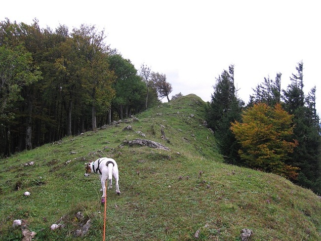 Foto: Andreas Koller / Wandertour / Hochstaff und Reisalpe (1399m) / NO-Grat / 10.10.2012 23:29:47