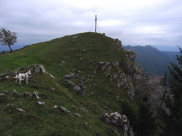 Foto: Andreas Koller / Wandertour / Hochstaff und Reisalpe (1399m) / 10.10.2012 23:29:31